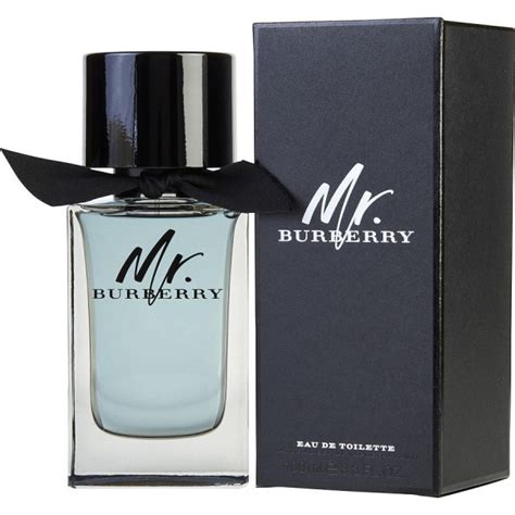 burberry mr burberry 100ml eau de toilette spray